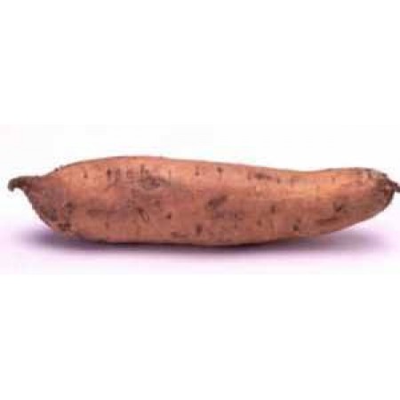 LONG YAM